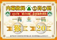 澳门一肖一码100精准2025-全面探讨落实与释义全方位