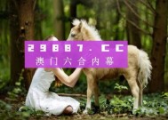 澳门六开奖结果2025开奖记录今晚-AI搜索详细释义解释落实