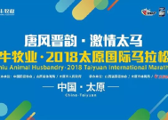 北京马拉松，赛事盛况与报名费用解析北京马拉松报名费多少钱