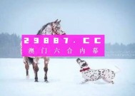 澳门最准一肖一码一码公开-全面探讨落实与释义全方位