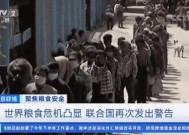 中国拳法电影的魅力与影响中国拳法电影在线观看